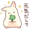Soft and Cute Rabbits 7
