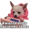 nose 7