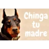 Chinga
tu
madre