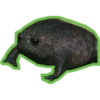 Fröggie 6