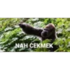NAH CEKMEK
