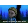 Aynen amk keli bi akıllı sensin