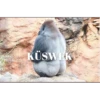 KÜSWEK