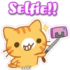 Selfie!!
MC
No
cokki