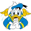 Donald Duck 5