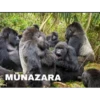 MÜNAZARA