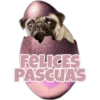 PASCUA 10