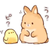 Soft and Cute Rabbits 8