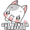 QYE BONITA
CARPETA