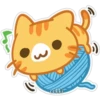 cokki
(5)