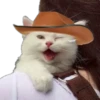 *wink*
cats_and_cowboy_hats