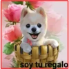 Perros 11