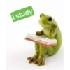 I study