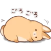 Soft and Cute Rabbits 10