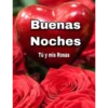 Ana Maria Barrios! 12