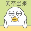 Duck 2 6