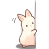 Soft and Cute Rabbits 11