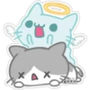 cokki