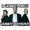 Cártel de Sapos 10