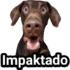 Impaktado
