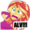 MLP Equestria girls 14