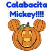 Calabacita
Mickey!!!!
401