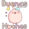 Conejo rosita 7