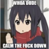 WHOA DUDE CALM THE FUCK DOWN imgflip.com