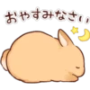 Soft and Cute Rabbits 13