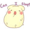Can
2
I
Sleep?"
