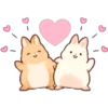 Soft and Cute Rabbits 14