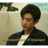 [is disappointed in 24 languages]