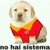nose 19