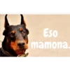 Eso
mamona.