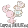 CARPETAS NUUUUUE WAS