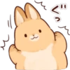 Soft and Cute Rabbits 16