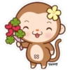 Sweet Monkey(Yessy) 15