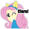 MLP Equestria girls 19