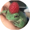 Fröggie 15