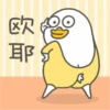 Duck 2 13