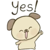 Cute Dog 13
