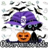 +C
2
Observamos todo