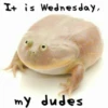 It is Wednesday,
my dudes