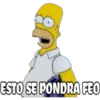 simplemente homero 17