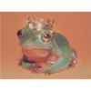 Fröggie 17