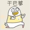 Duck 2 15