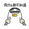 Duck 2 16