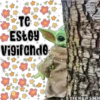 GROGU 23