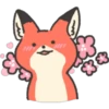 Zorro Cute 23