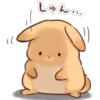 Soft and Cute Rabbits 18